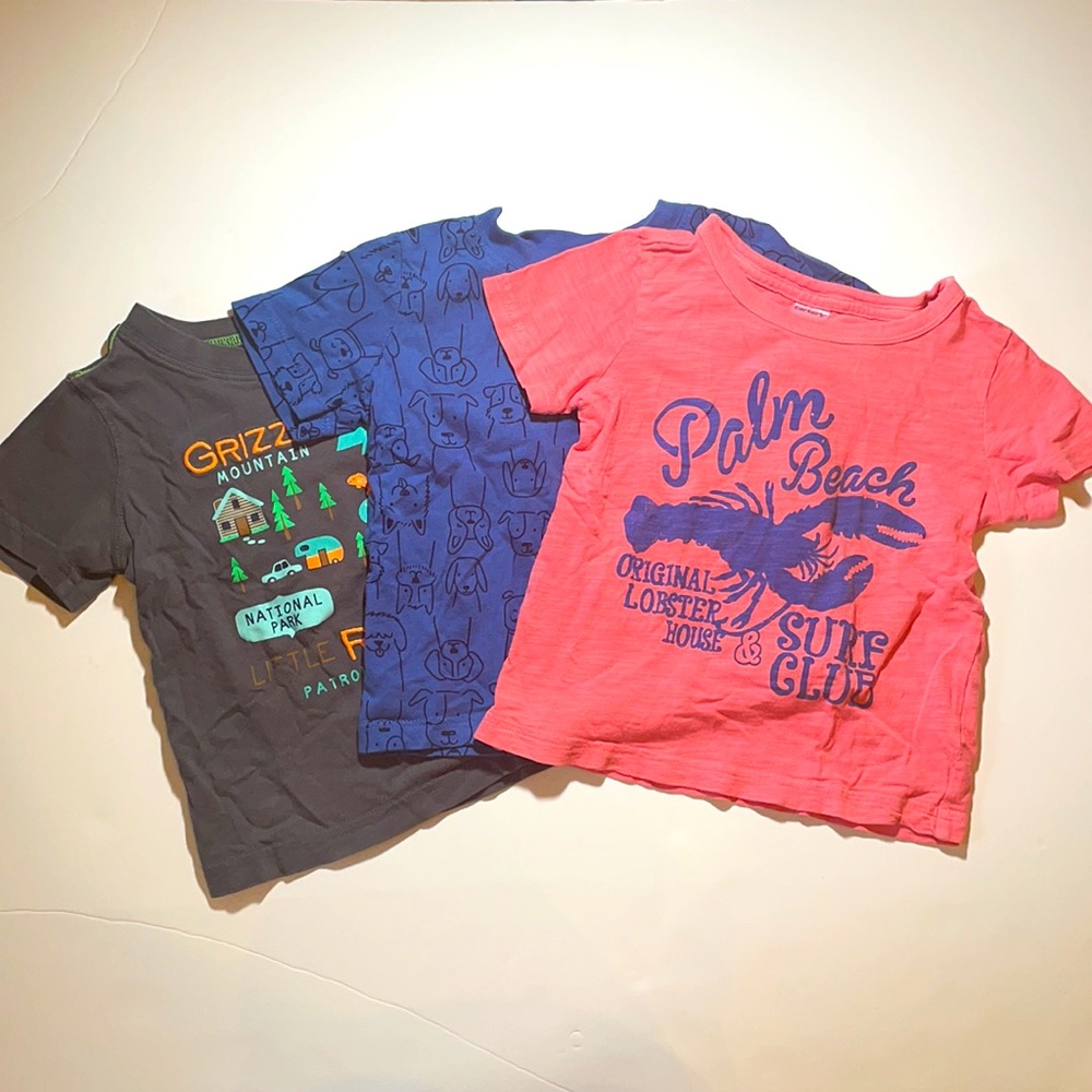 Lot of 3 shirts 24 months Carter’s